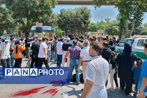 استقبال مردم کرمانشاه از آرین سلیمی قهرمان المپیک پاریس 