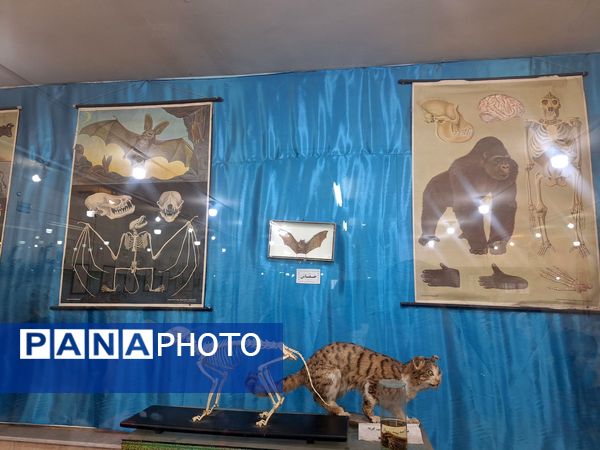 اردوی علمی ،تفریحی دانش آموزان مدرسه مهندس رحمانی فرد در پژوهش سرای علامه طباطبایی