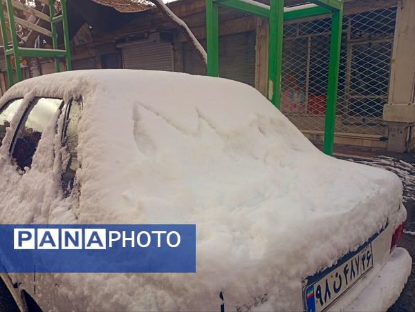 برف میهمان کاشمر شد