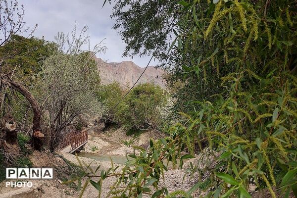 آلبوم تصویری از طبیعت زیبای شهر بار در اردیبهشت‌ماه  ۱۴۰۵ -1