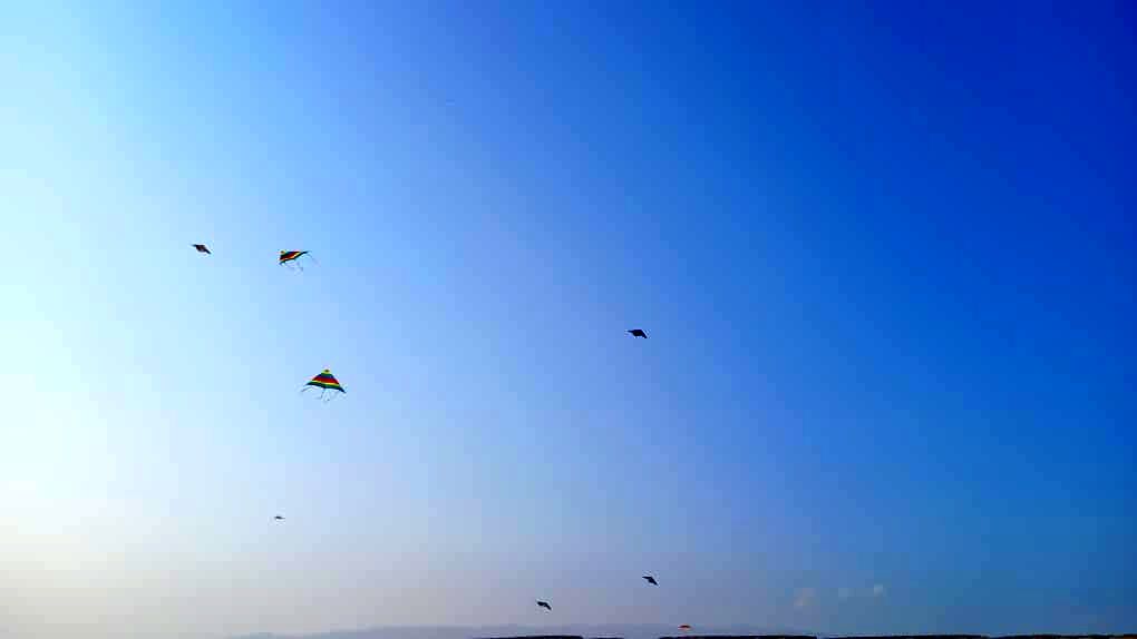پرواز بادبادک‌‌ها در روز کودک 
