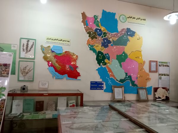 کنجکاوی پانایی ها در کشف اسرار کشاورزی و دامپروری 