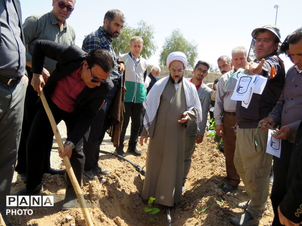 آیین "درخت سرو ایران" در شهرستان خلیل آباد 