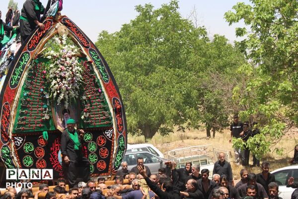 آیین نخلبرداری روز عاشورا در روستای علی آباد پیشکوه تفت