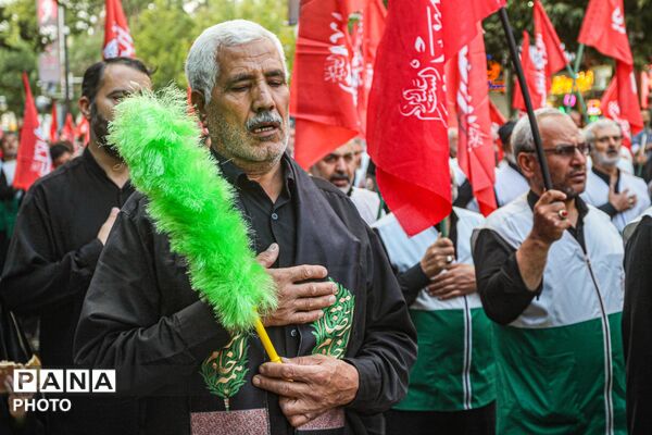 در سوگ شهادت امام رضا(ع)؛ شکوه دسته عزاداری خادمیاران رضوی در زنجان