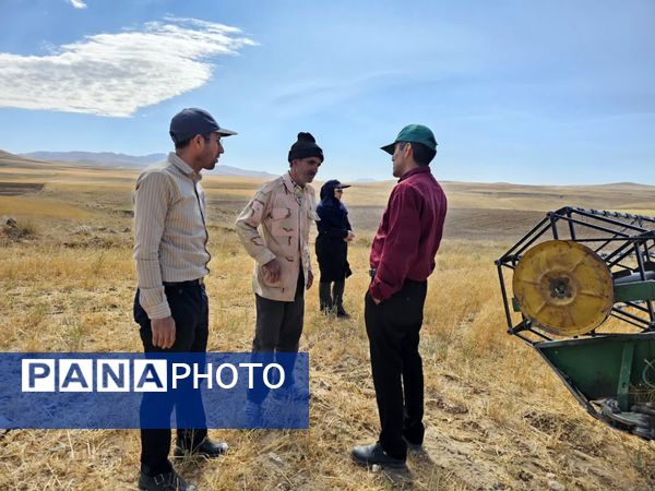 بازدید برداشت گندم در شهرستان فاروج