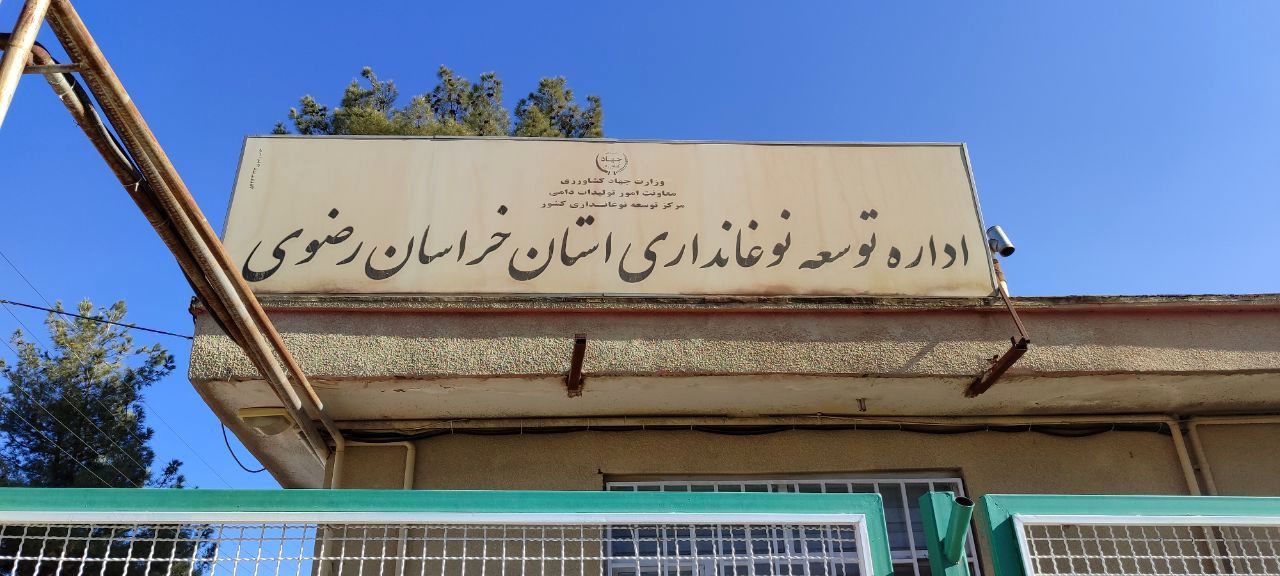 کرم ابریشم منبع درآمد و امید کشاورزان تربت حیدریه 