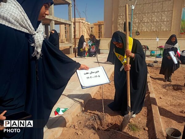 دانش‌آموزان دبیرستان عفت در کاشت ۱۰۰۰ درخت شریک شدند