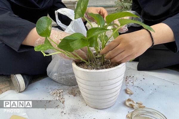 گلکاری در دبیرستان دخترانه الزهرا
