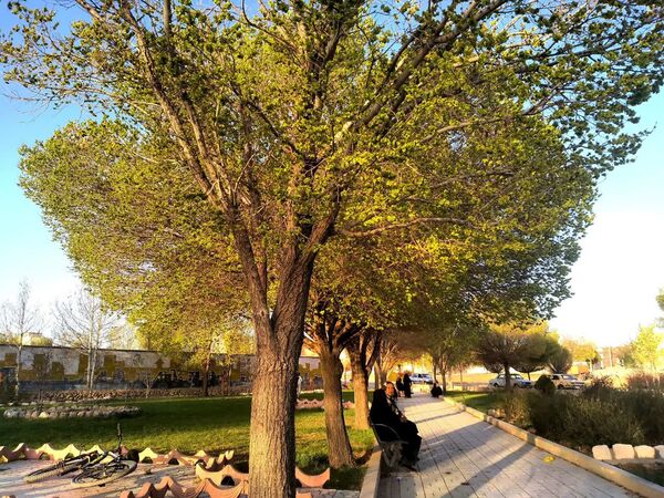 فصل بهار؛ آغاز پادشاهی سبزه و گل‌ها بر شهرستان بروجن