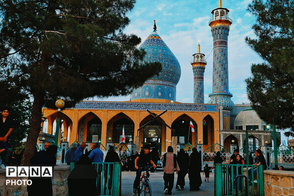 شهر بهمن در سوگ هشتمین اختر امامت