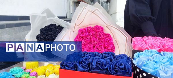 نمایشگاه هنرهای دستی دانش آموزان در بابلسر 