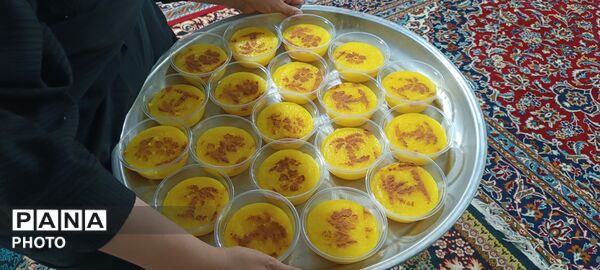 برگزاری مراسم تشییع نمادین امام رضا(ع)در امامزاده سید محمد(ع) کاشمر