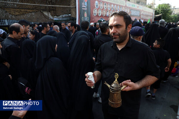 جاماندگان اربعین حسینی - تهران