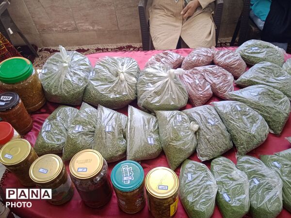 جشنواره غذای سالم در روستای آبنیه