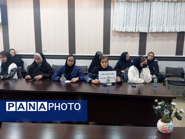 توانمندسازی همیار مشاوران مدارس ناحیه ۳ شیراز