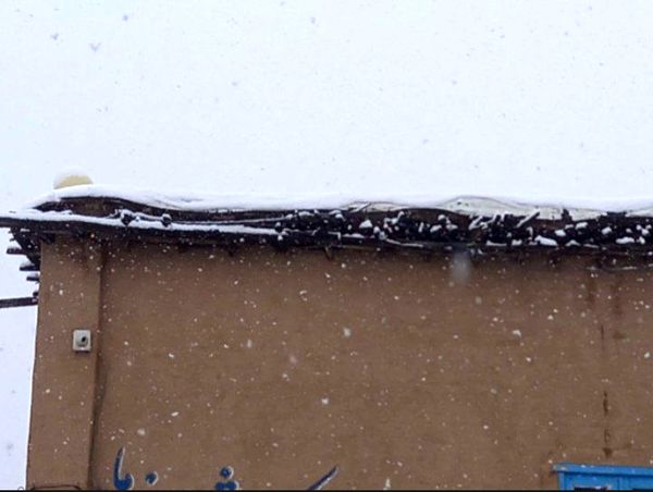 برف زمستانی، مهمان شهرستان کیار