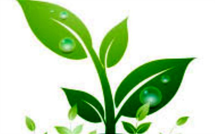 افتتاح اولین خانه بازیافت در فرهنگسرای کوثر کرج