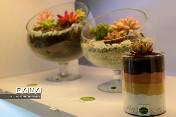 جشنواره ملی گل و‌گیاه در بابل