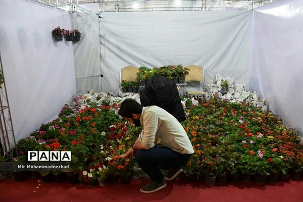 جشنواره ملی گل و‌گیاه در بابل