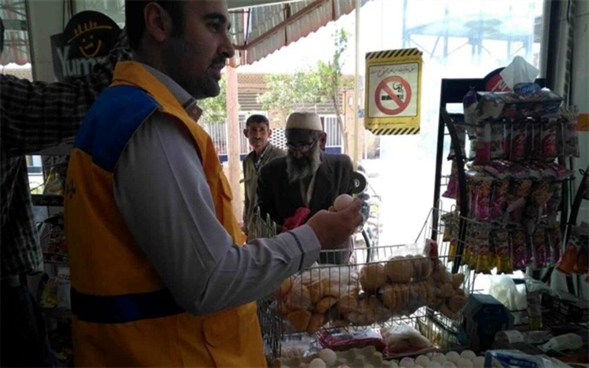 اکیپ های نظارت شبکه دامپزشکی سربیشه آماده اجرای طرح تشدید و کنترل و نظارت بهداشتی ویژه ایام نوروز