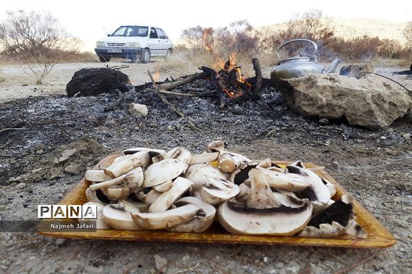 طبیعت گردی در روستای چاه سبز حاجی آباد