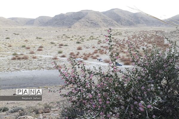 طبیعت گردی در روستای چاه سبز حاجی آباد