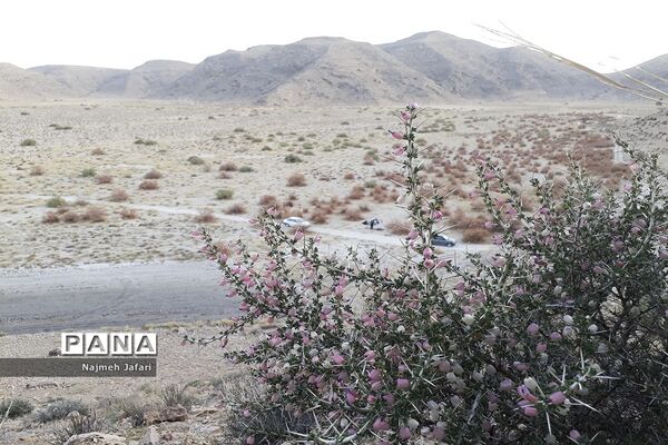 طبیعت گردی در روستای چاه سبز حاجی آباد