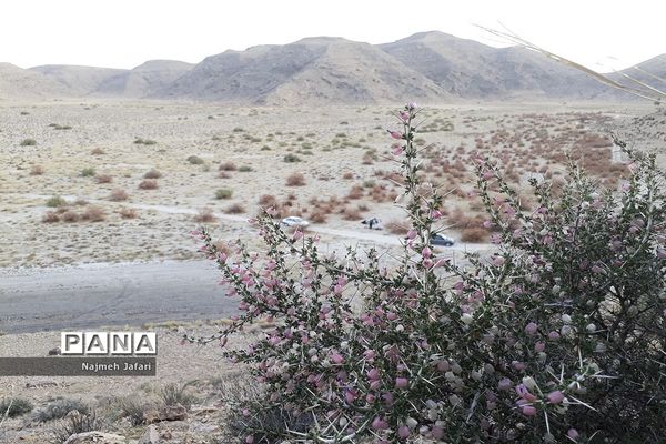 طبیعت گردی در روستای چاه سبز حاجی آباد
