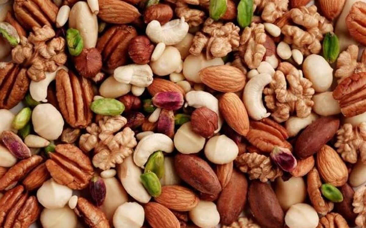 رئیس اتحادیه آجیل و خشکبار: قیمت آجیل از 40 روز پیش تاکنون افزایش نداشته است