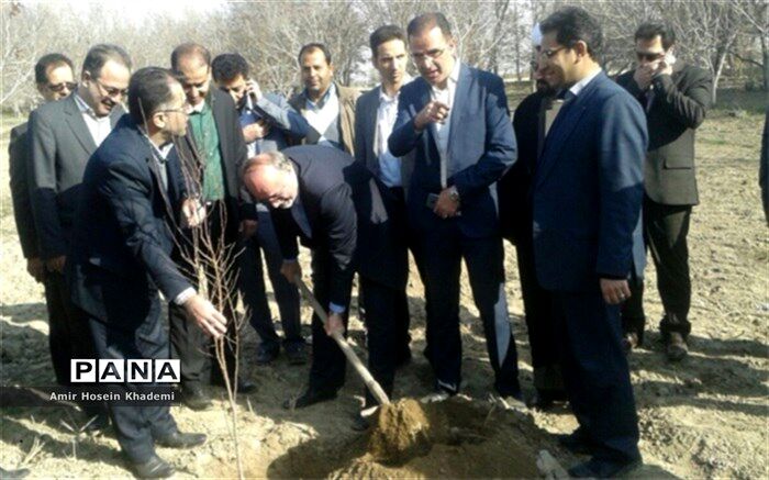 اجرای طرح بیابان زدایی در ۴۰ هزار هکتار کانون بحرانی البرز