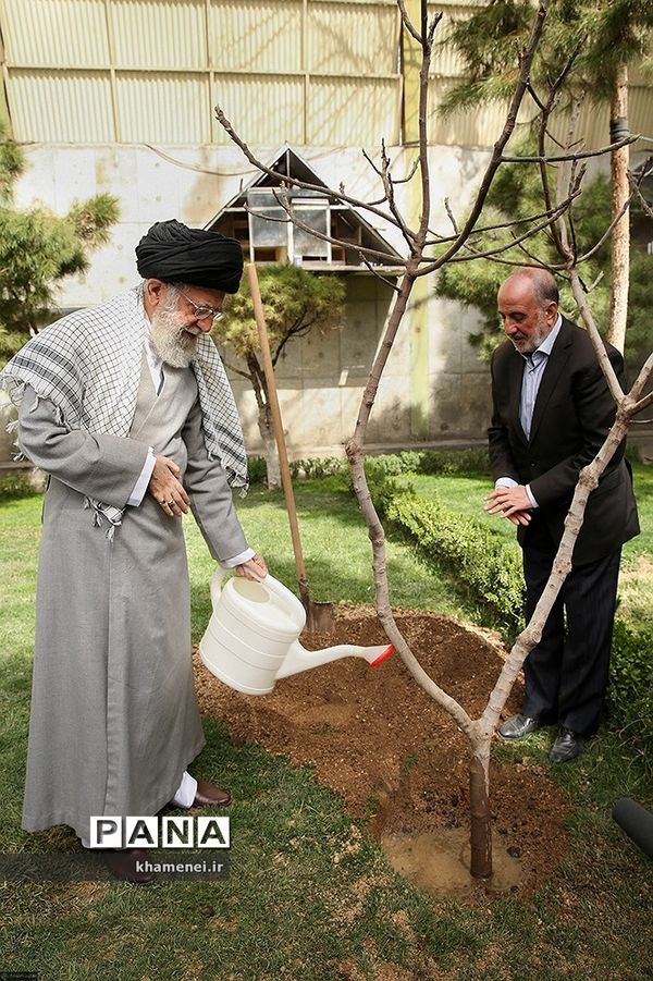 کاشت نهال توسط رهبر انقلاب در روز درختکاری