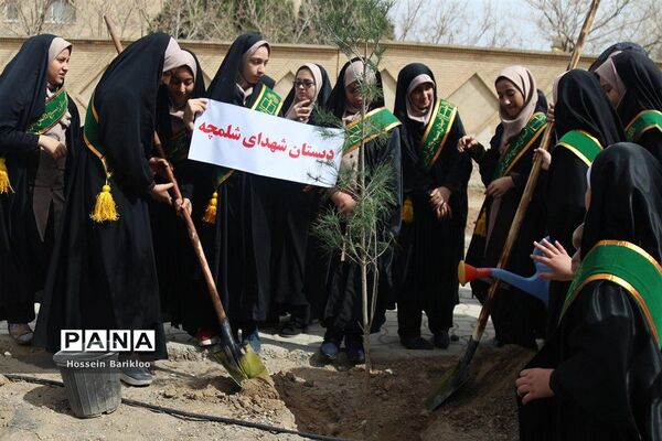 آیین کاشت نهال در قم