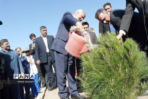 روز درختکاری دربوستان شهدای گمنام روستای حاجی آباد شهرستان بیرجند