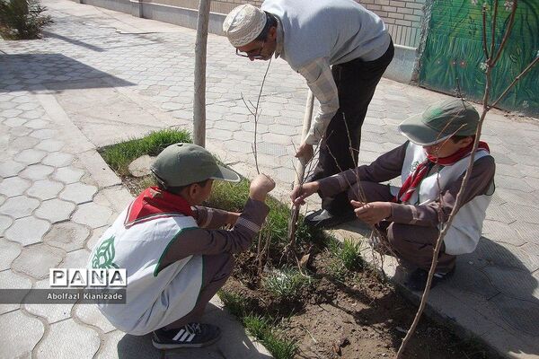 کاشت  نهال در مدرسه شاهد پسرانه  شهرستان بشرویه
