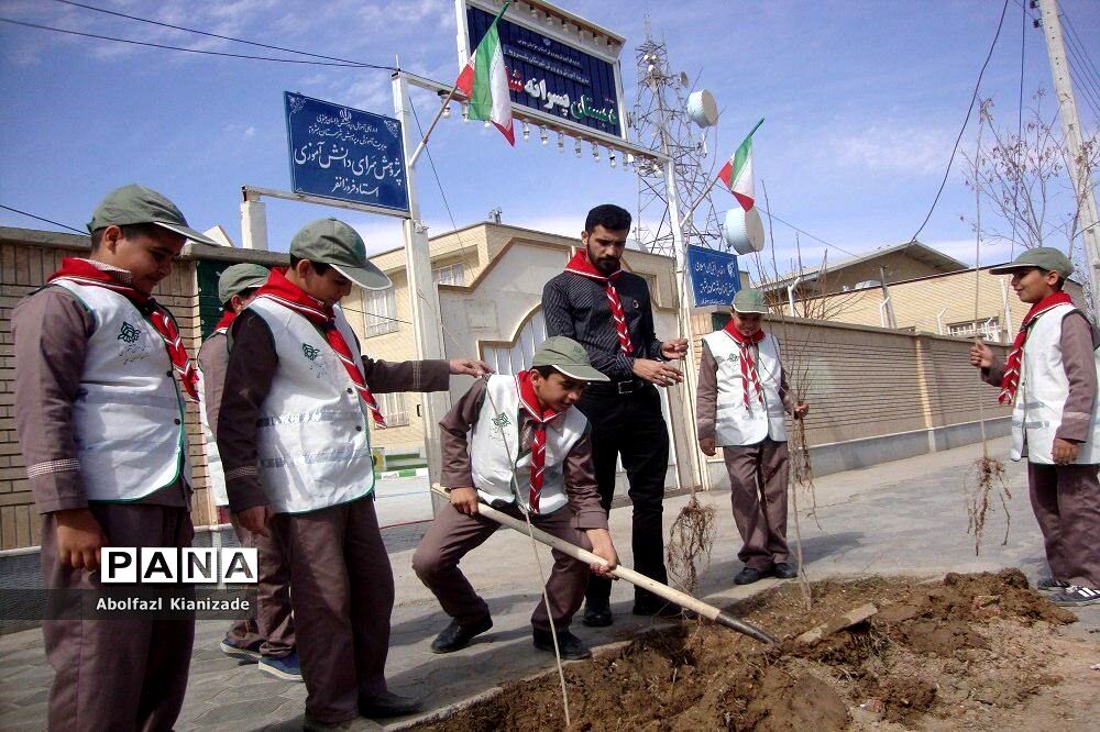 کاشت  نهال در مدرسه شاهد پسرانه  شهرستان بشرویه
