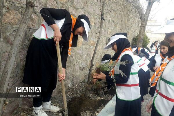 مراسم روز درختکاری با حضور دانش آموزان پیشتاز در مدارس استان کردستان