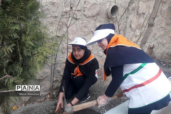 مراسم روز درختکاری با حضور دانش آموزان پیشتاز در مدارس استان کردستان