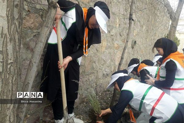 مراسم روز درختکاری با حضور دانش آموزان پیشتاز در مدارس استان کردستان