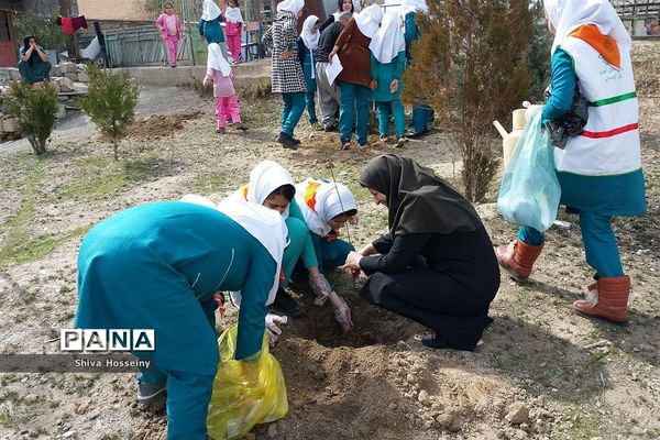 مراسم روز درختکاری با حضور دانش آموزان پیشتاز در مدارس استان کردستان