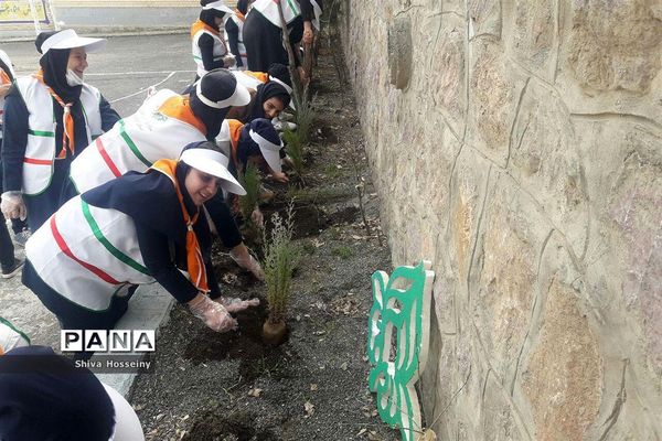 مراسم روز درختکاری با حضور دانش آموزان پیشتاز در مدارس استان کردستان