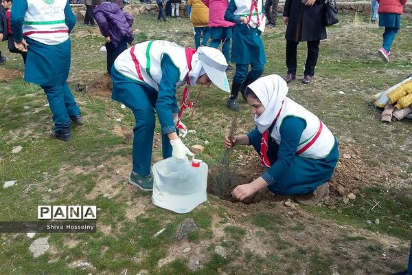 مراسم روز درختکاری با حضور دانش آموزان پیشتاز در مدارس استان کردستان