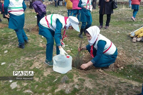 مراسم روز درختکاری با حضور دانش آموزان پیشتاز در مدارس استان کردستان