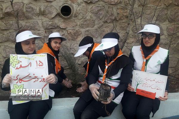 مراسم روز درختکاری با حضور دانش آموزان پیشتاز در مدارس استان کردستان