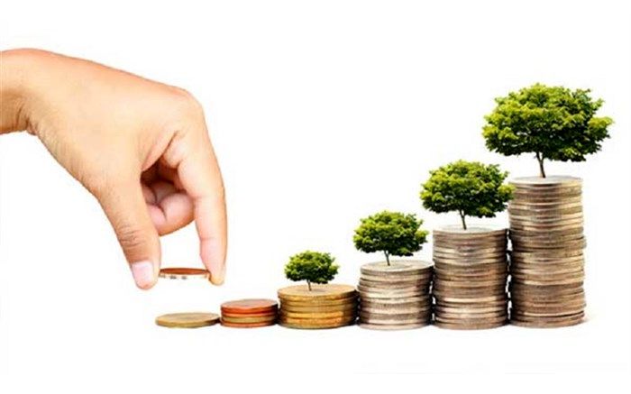 عضو هیات مدیره صندوق توسعه ملی خبرداد:  دستور رییس‌جمهور به صندوق توسعه ملی برای تدوین برنامه جذب سرمایه خارجی