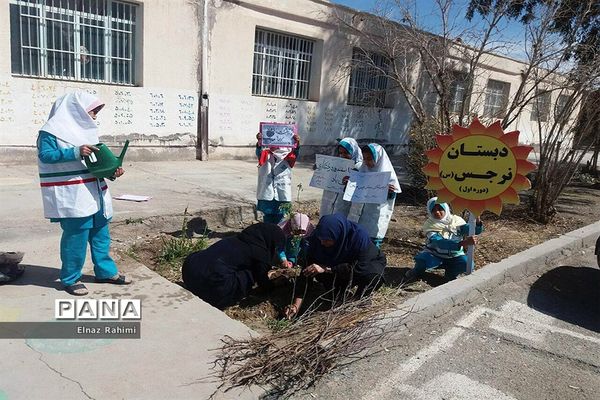 مراسم روز درختکاری در نهبندان