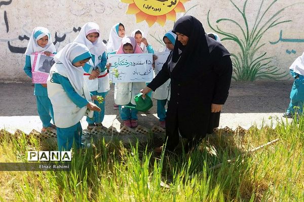 مراسم روز درختکاری در نهبندان