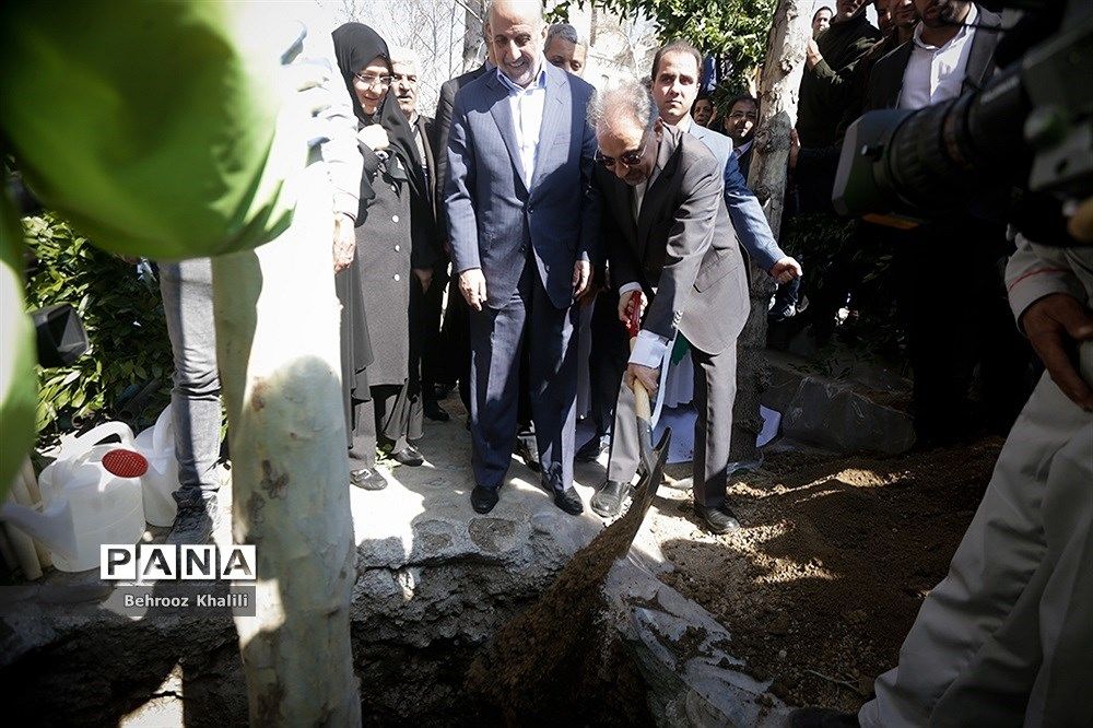 طرح احیای درختان چنار خیابان ولیعصر(عج)