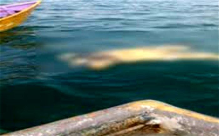 جسد ناخدای ناپدید شده گناوه ای پس از 20 روز پیدا شد