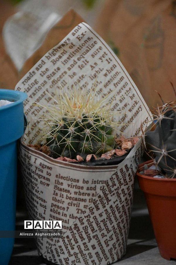 اولین جشنواره ملی گل و گیاه در مجتمع شهید عظیمی بابلسر